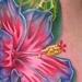 Tattoos - Hibiscus Hybrid - 79438